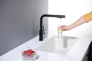 Смеситель для кухни Aquatek Европа AQ1386MB черный